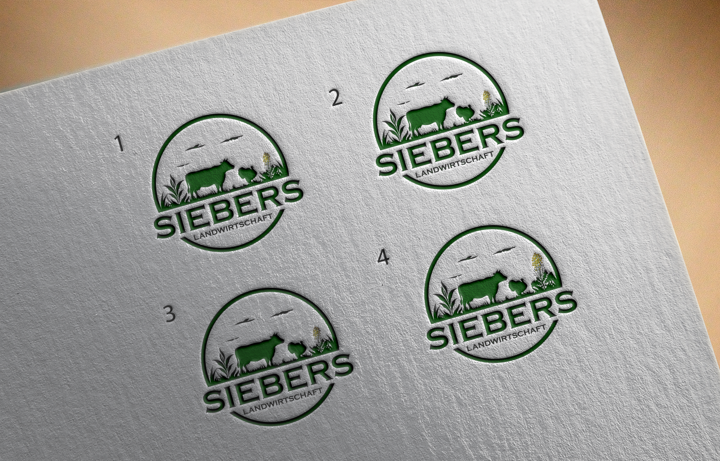 Logo Design by Daniel Khan for this project | Design #32832959