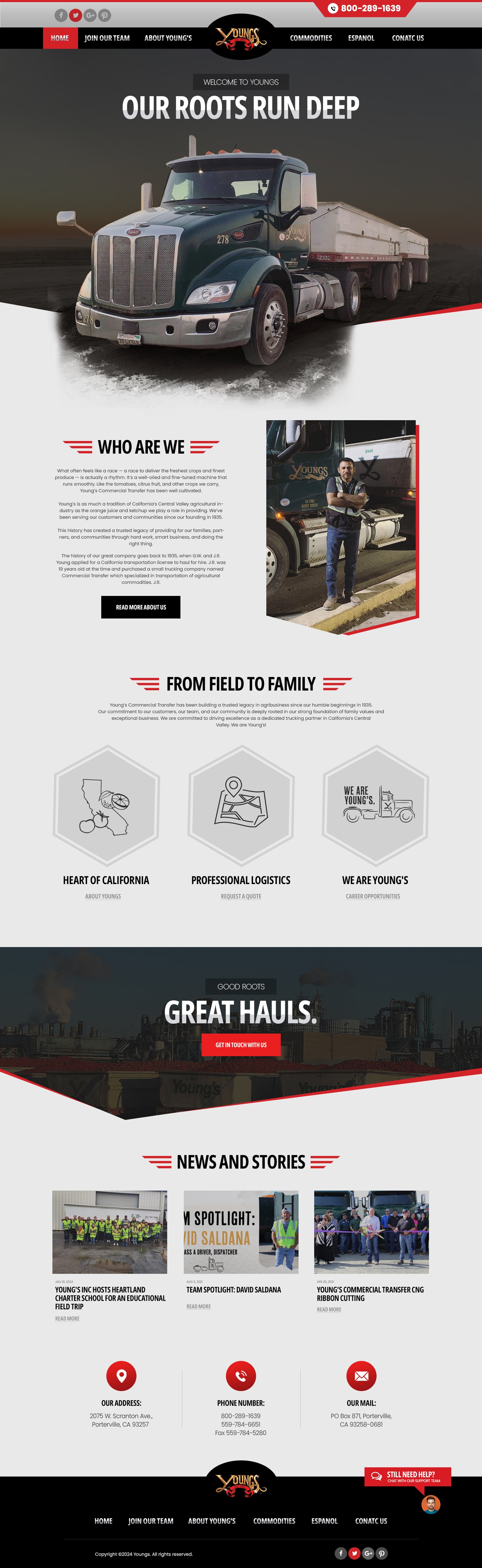 Web Design by nzdesigners for this project | Design #32827958