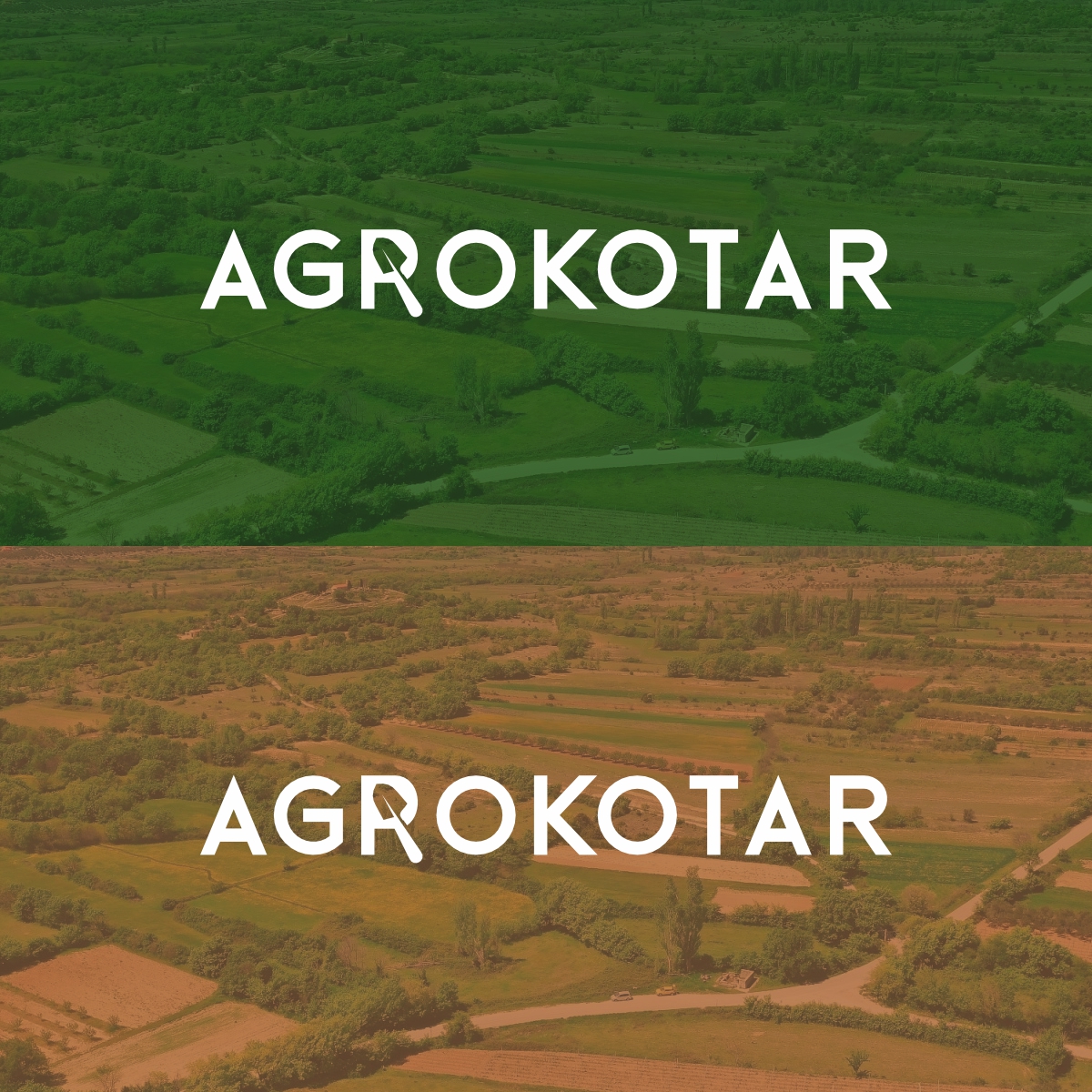 Logo Design by Ashani Bhattacharya for this project | Design #32783983