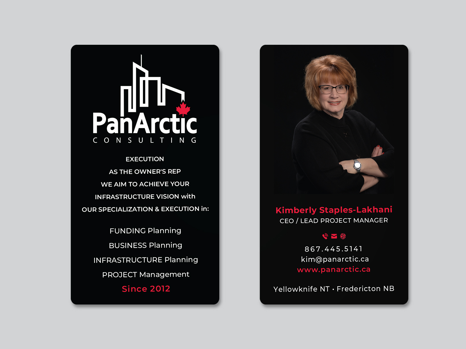 Business Card Design by Creative Moon Design for PANARCTIC CONSULTING | Design #32809714