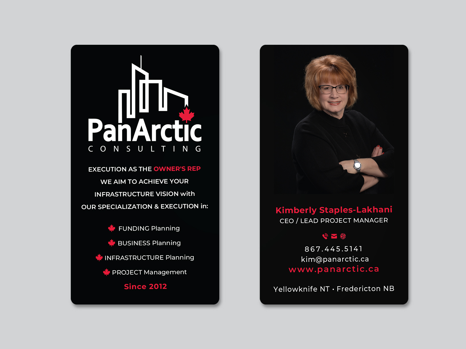 Business Card Design by Creative Moon Design for PANARCTIC CONSULTING | Design #32809715