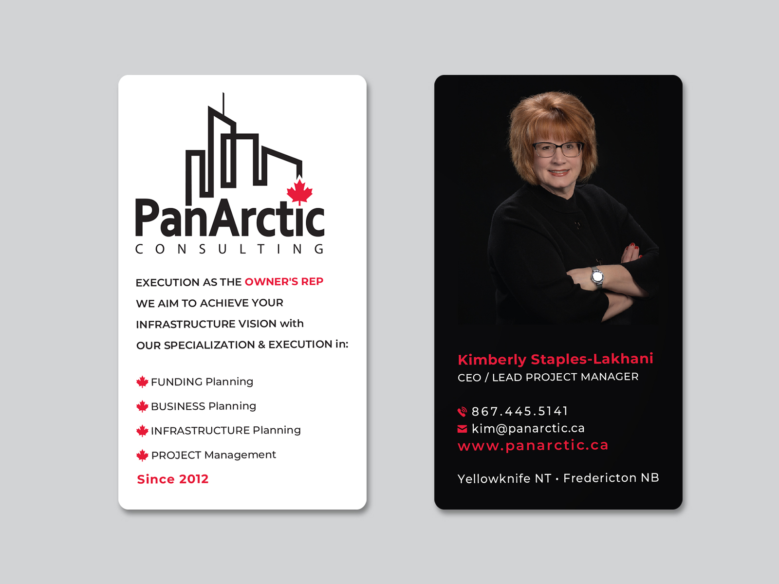 Business Card Design by Creative Moon Design for PANARCTIC CONSULTING | Design #32809717