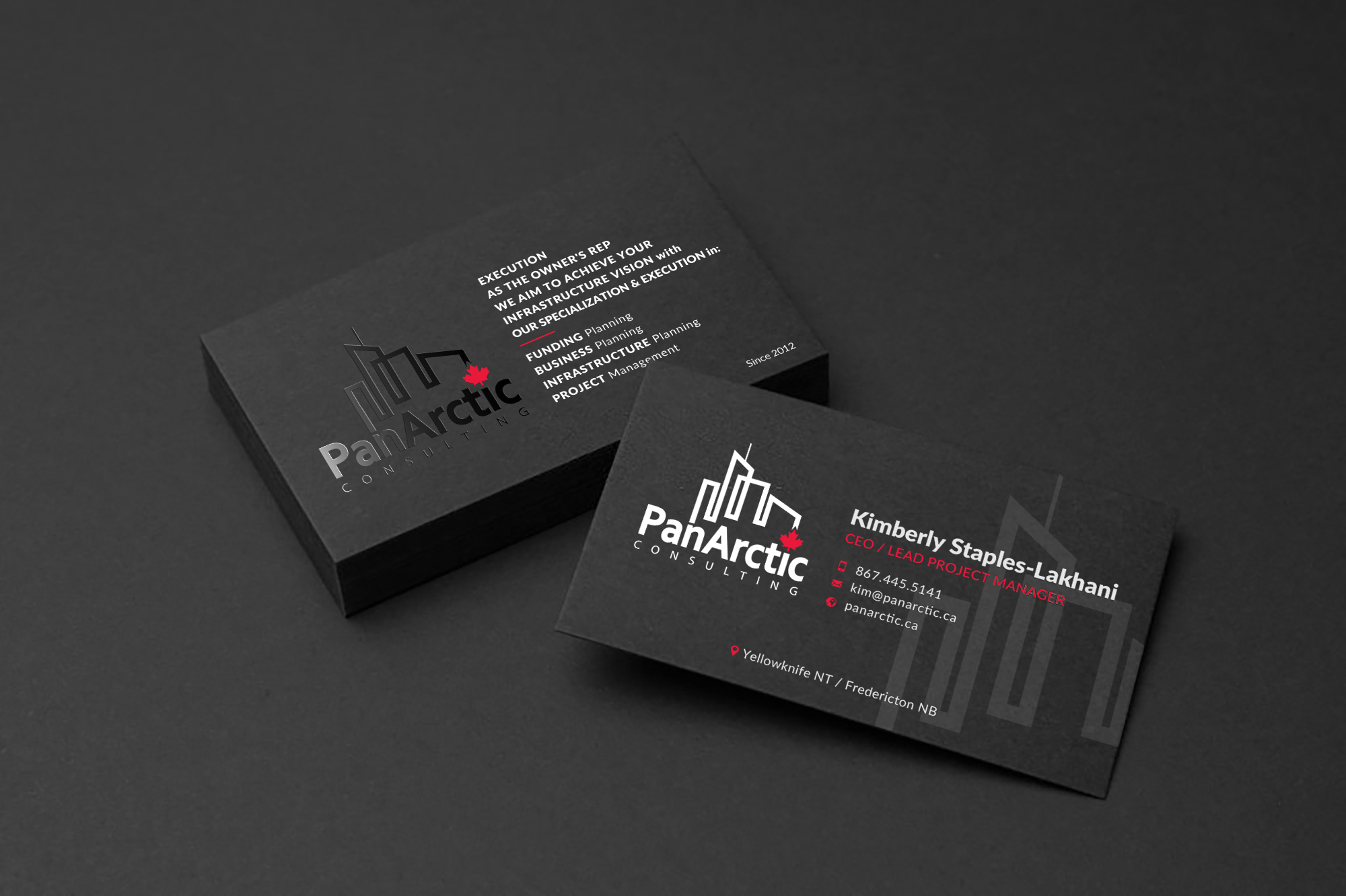 Business Card Design by Sun Moon Graphic Designer for PANARCTIC CONSULTING | Design #32798660