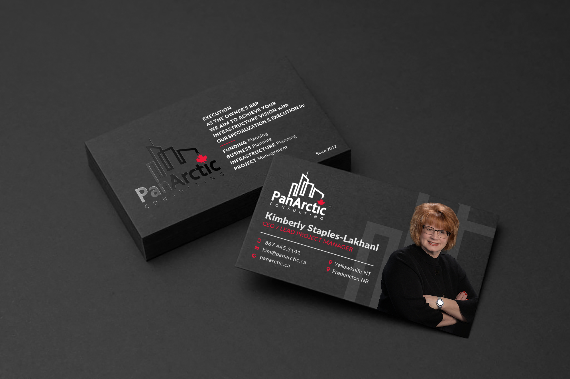 Business Card Design by Sun Moon Graphic Designer for PANARCTIC CONSULTING | Design #32798661