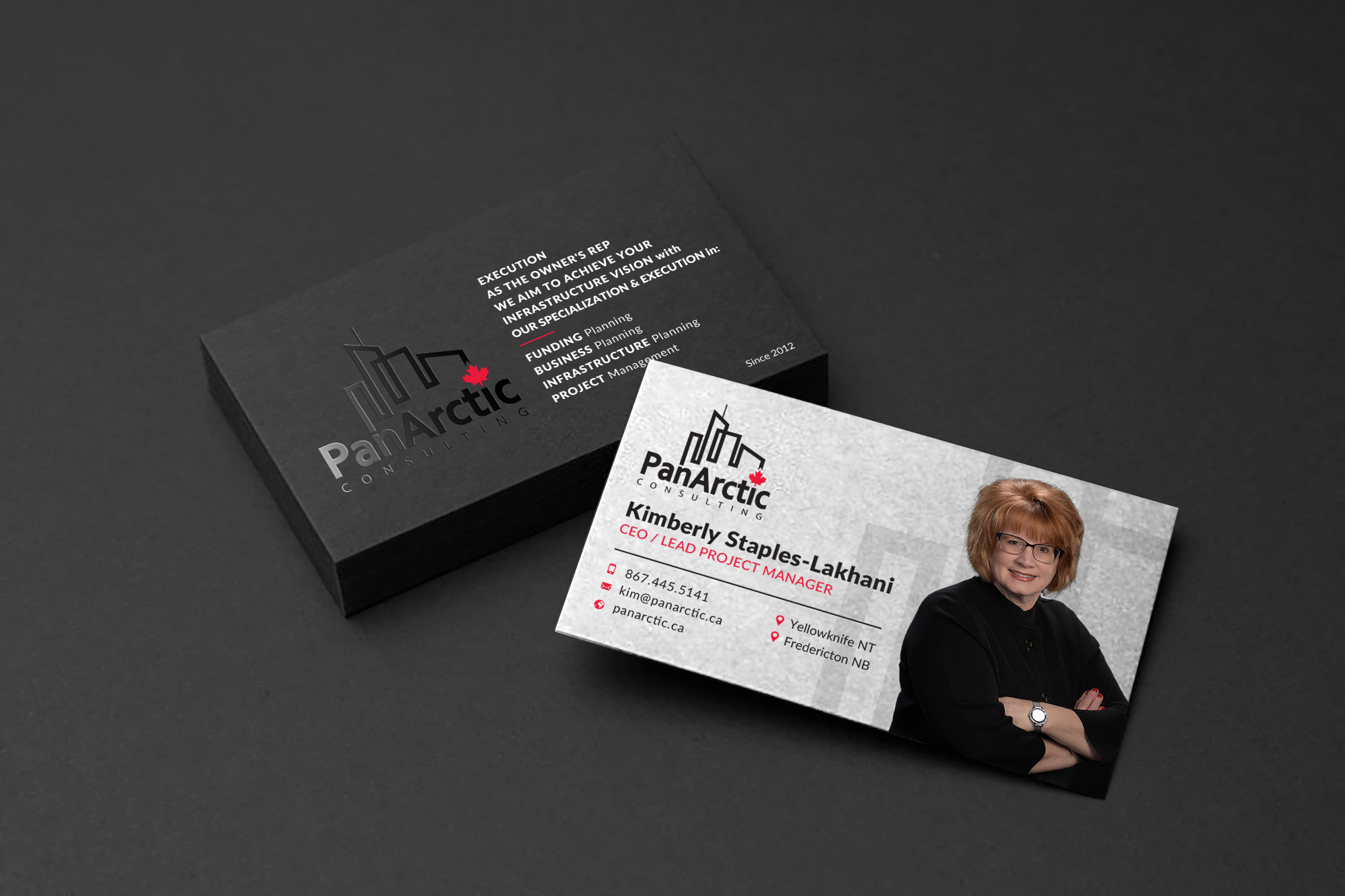 Business Card Design by Sun Moon Graphic Designer for PANARCTIC CONSULTING | Design #32798662