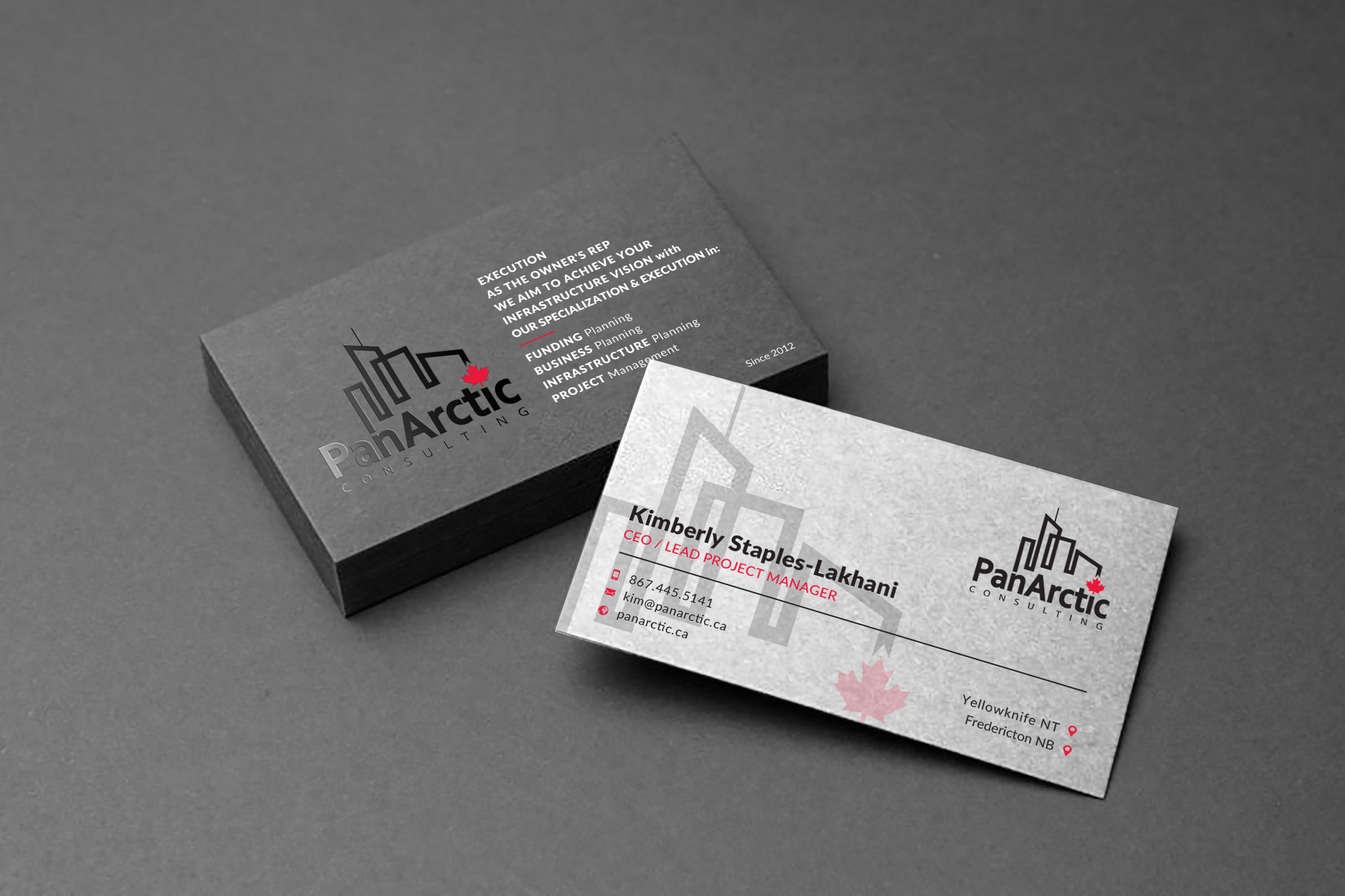 Business Card Design by Sun Moon Graphic Designer for PANARCTIC CONSULTING | Design #32798666