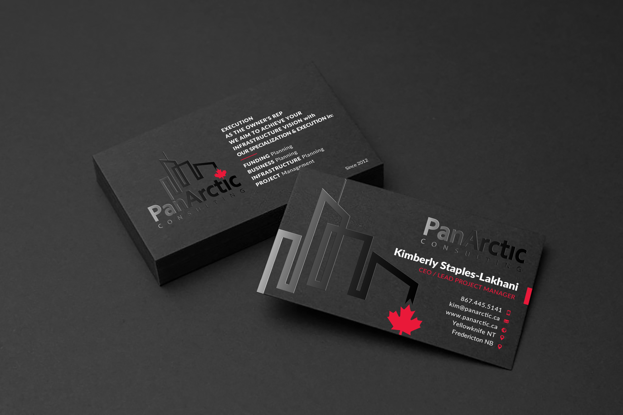 Business Card Design by Sun Moon Graphic Designer for PANARCTIC CONSULTING | Design #32798667