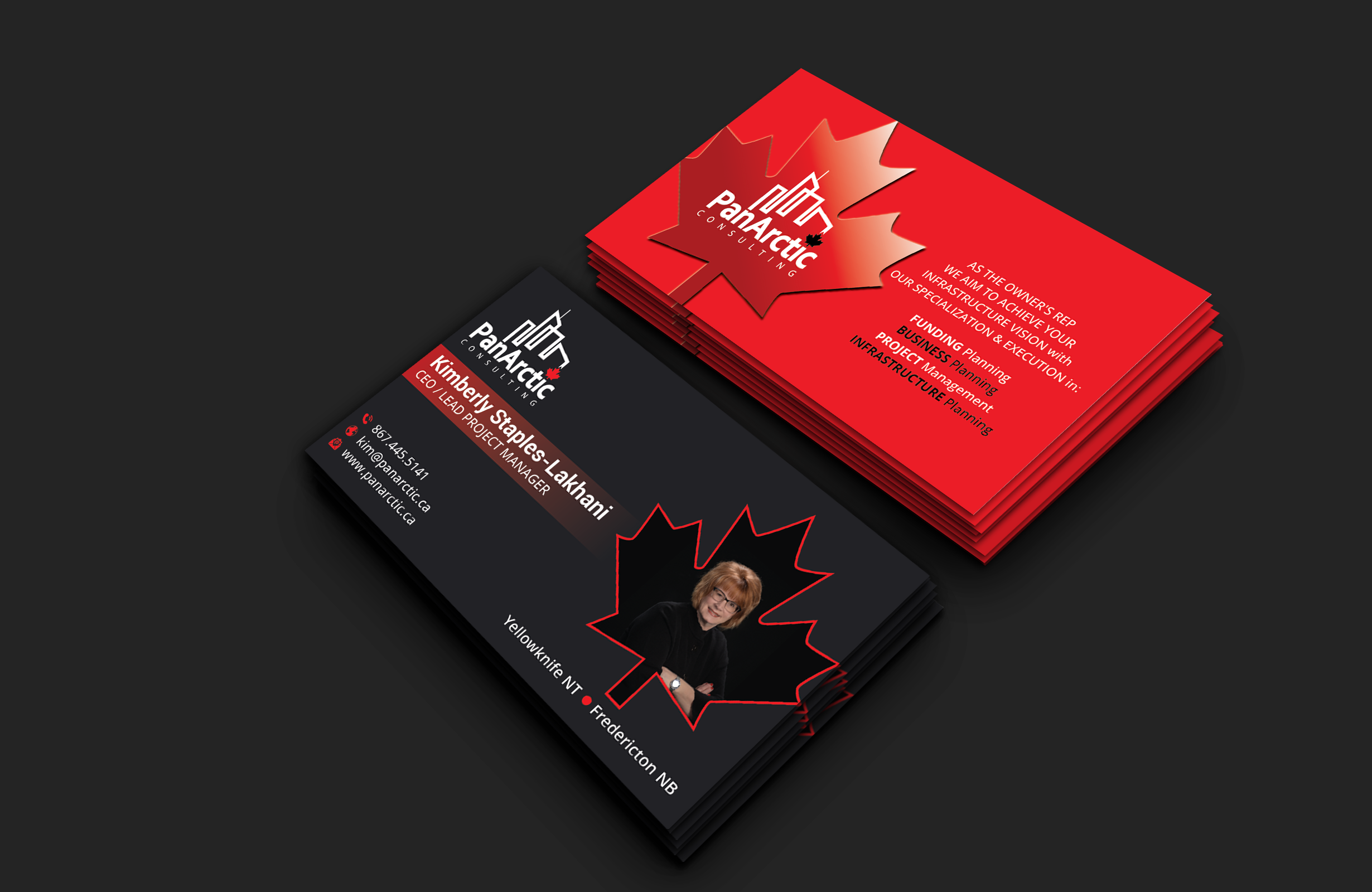 Business Card Design by DesignerShahadat for PANARCTIC CONSULTING | Design #32797721