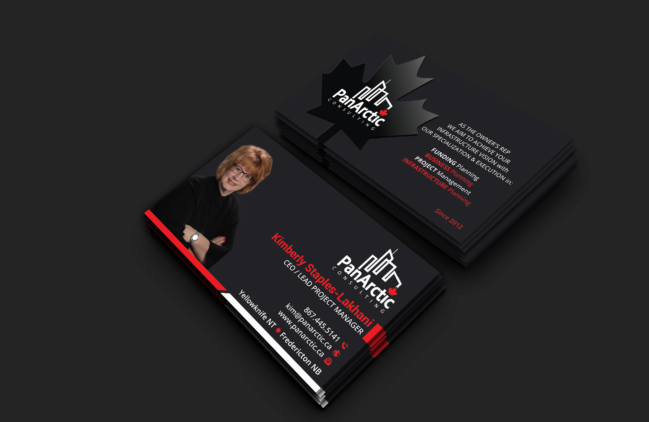 Business Card Design by DesignerShahadat for PANARCTIC CONSULTING | Design #32799269