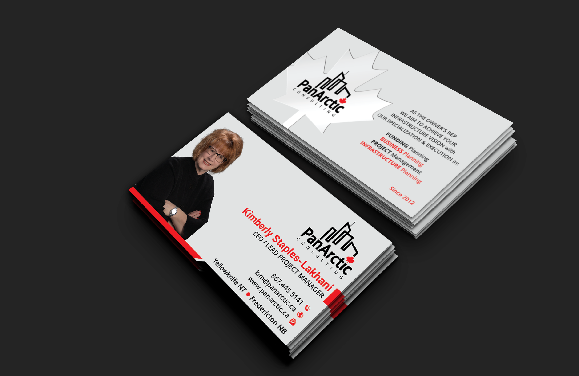Business Card Design by DesignerShahadat for PANARCTIC CONSULTING | Design #32799270