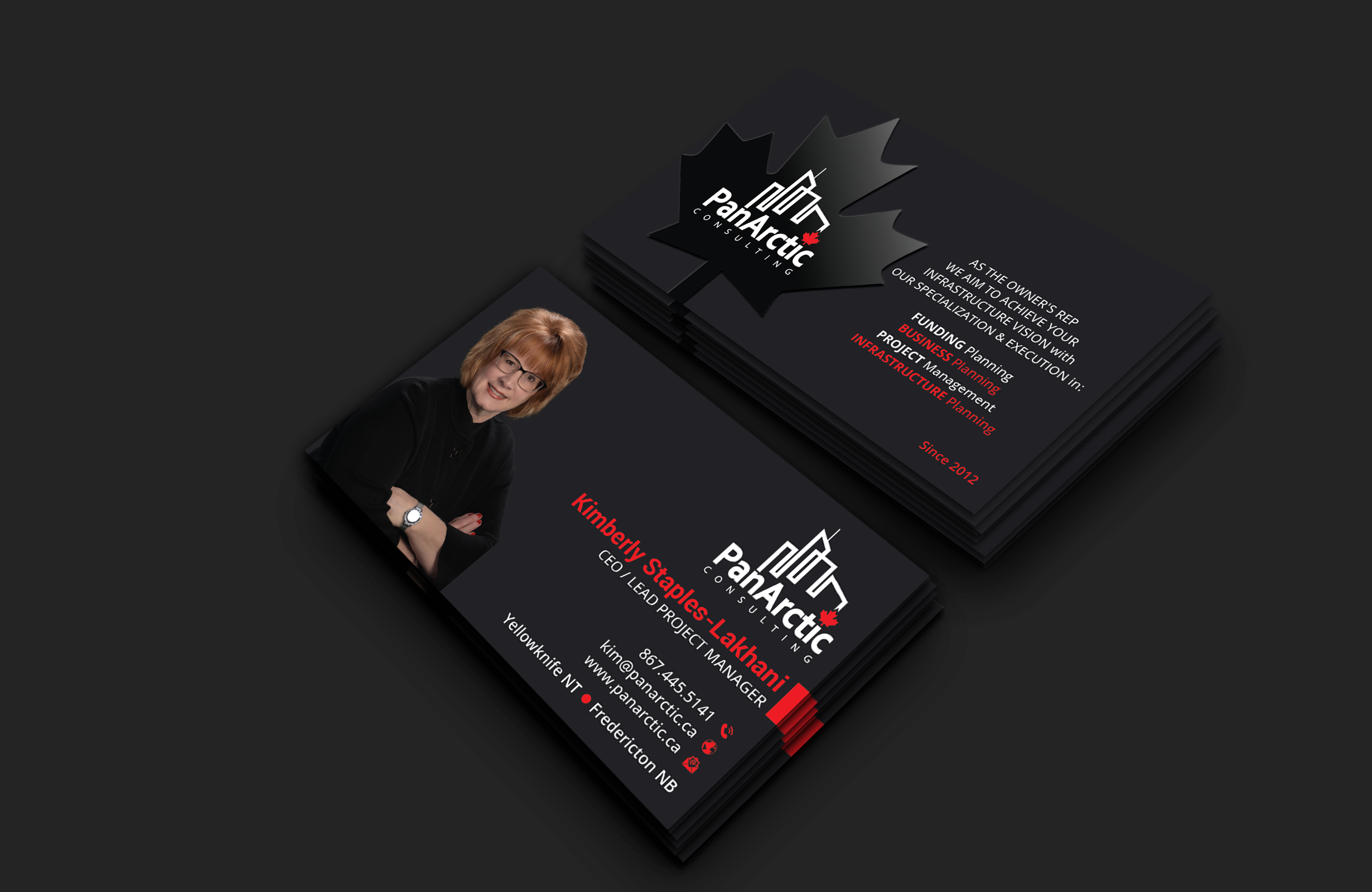 Business Card Design by DesignerShahadat for PANARCTIC CONSULTING | Design #32799278