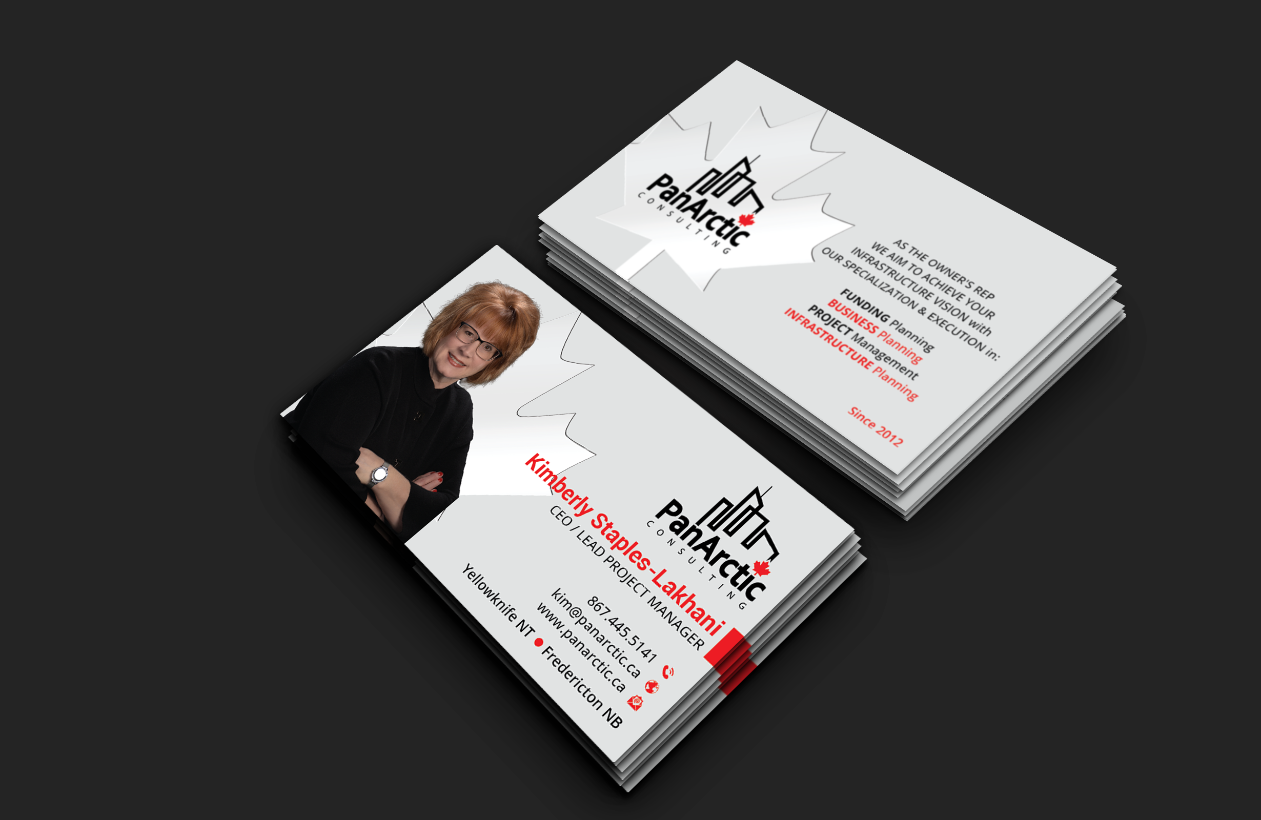 Business Card Design by DesignerShahadat for PANARCTIC CONSULTING | Design #32799279