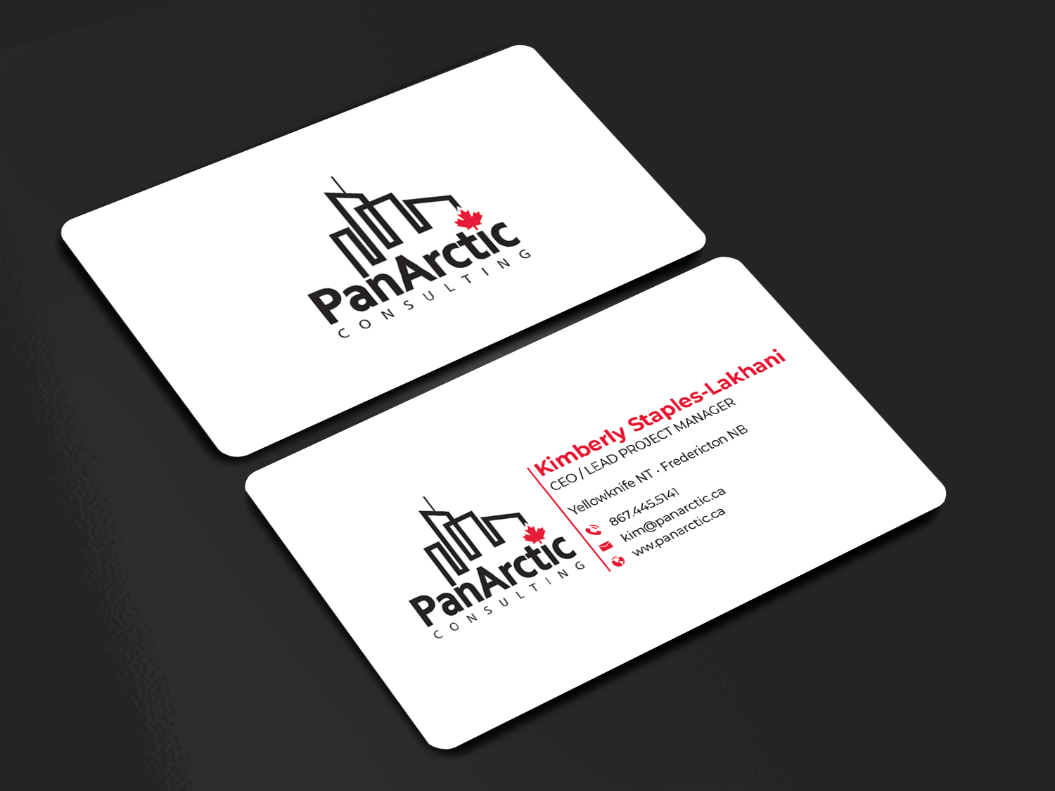 Business Card Design by Innovative Graphix for PANARCTIC CONSULTING | Design #32802615