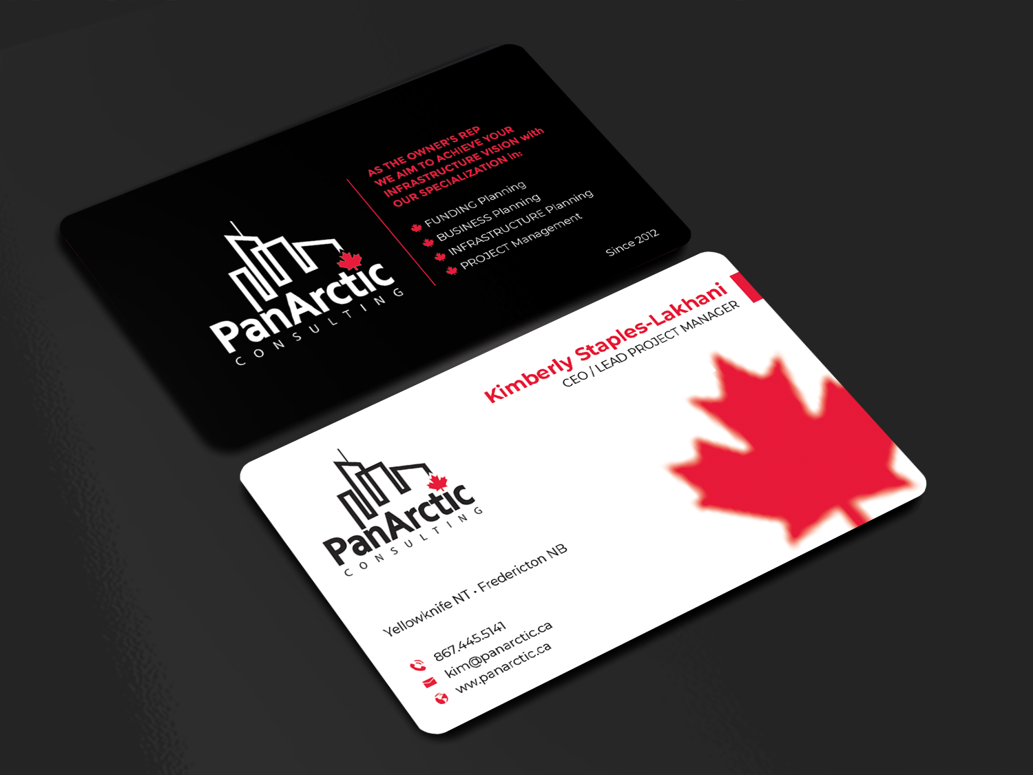 Business Card Design by Innovative Graphix for PANARCTIC CONSULTING | Design #32803931