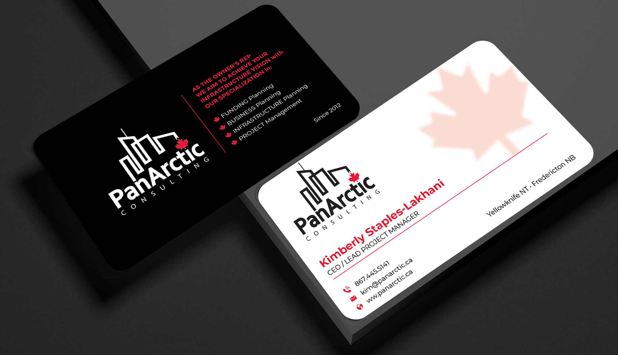 Business Card Design by Innovative Graphix for PANARCTIC CONSULTING | Design #32803932
