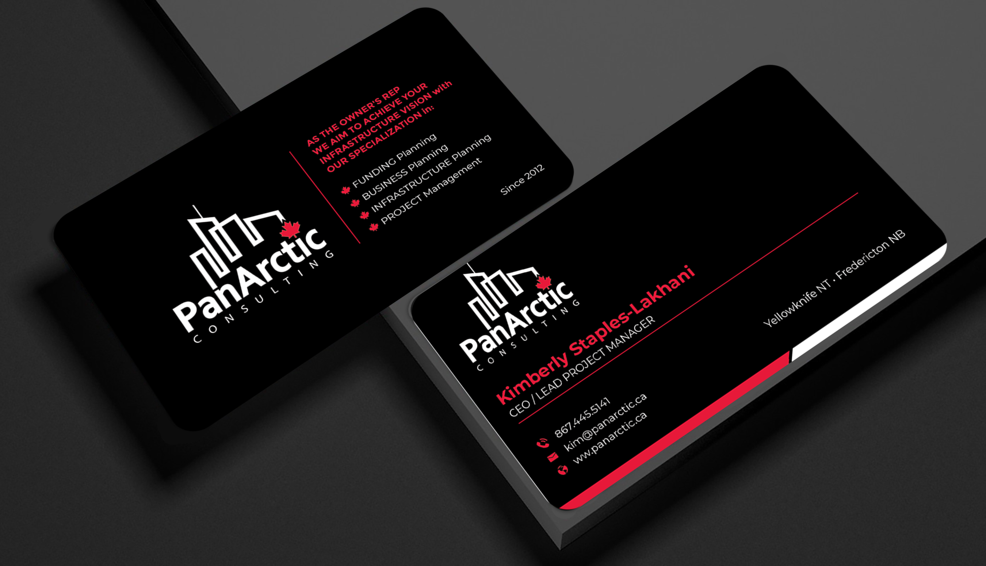 Business Card Design by Innovative Graphix for PANARCTIC CONSULTING | Design #32803937