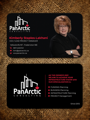 Business Card Design by Innovative Graphix for PANARCTIC CONSULTING | Design: #32804012