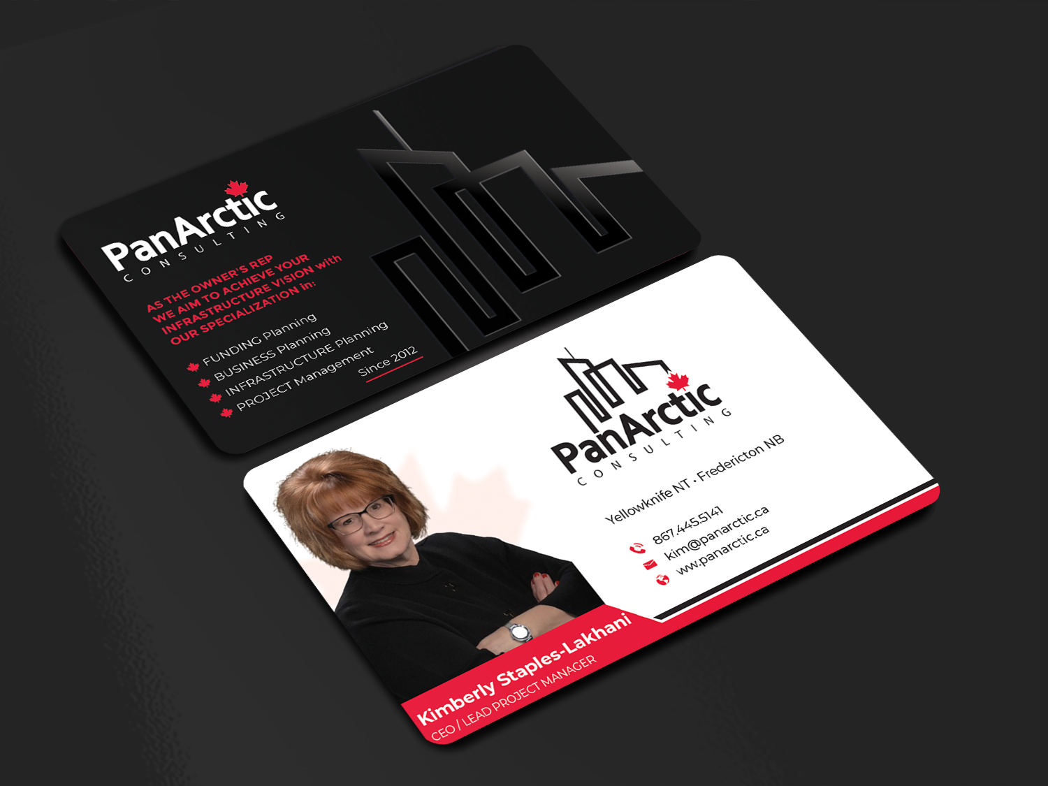 Business Card Design by Innovative Graphix for PANARCTIC CONSULTING | Design #32813946