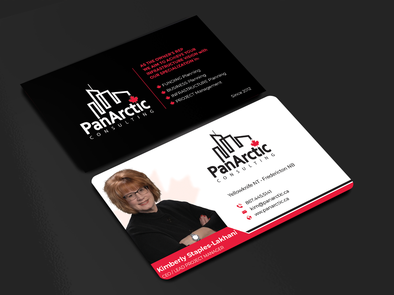 Business Card Design by Innovative Graphix for PANARCTIC CONSULTING | Design #32813948