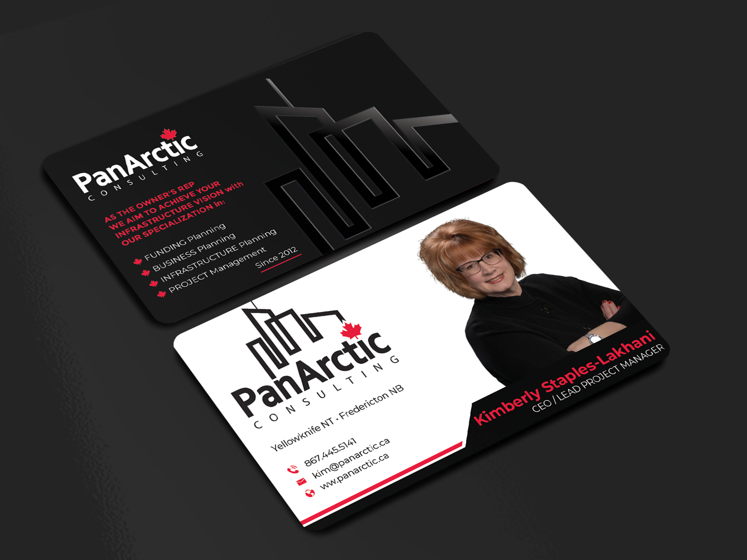 Business Card Design by Innovative Graphix for PANARCTIC CONSULTING | Design #32813949