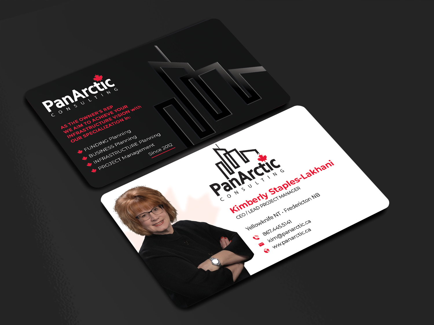Business Card Design by Innovative Graphix for PANARCTIC CONSULTING | Design #32813952