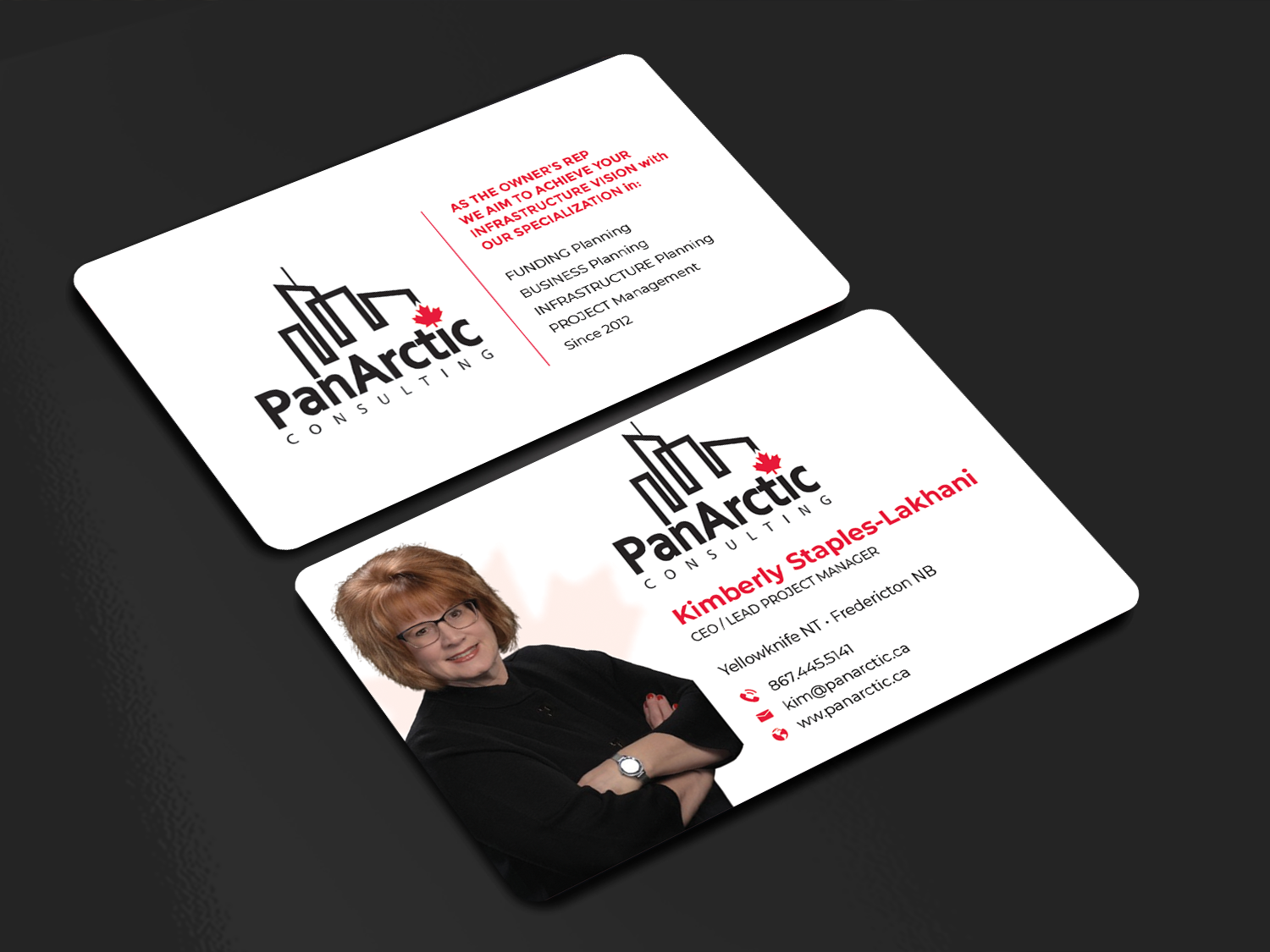 Business Card Design by Innovative Graphix for PANARCTIC CONSULTING | Design #32813953