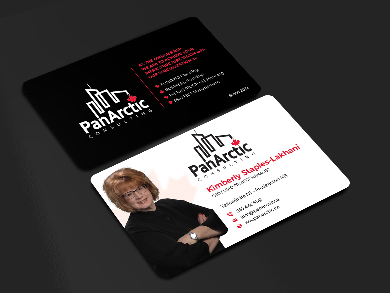 Business Card Design by Innovative Graphix for PANARCTIC CONSULTING | Design #32813955