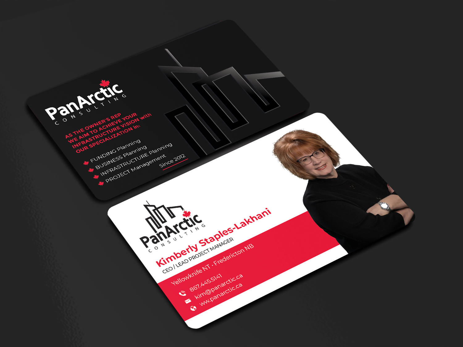 Visitenkarten-Design von Innovative Graphix für PANARCTIC CONSULTING | Design #32813976