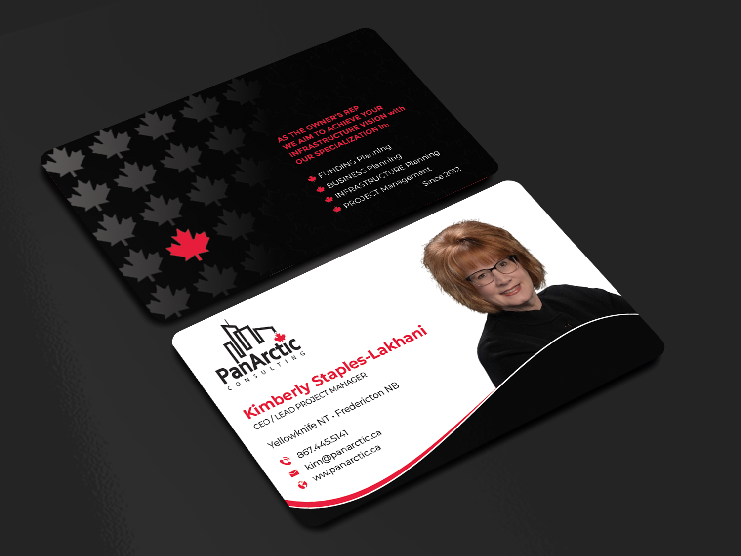 Visitenkarten-Design von Innovative Graphix für PANARCTIC CONSULTING | Design #32813991