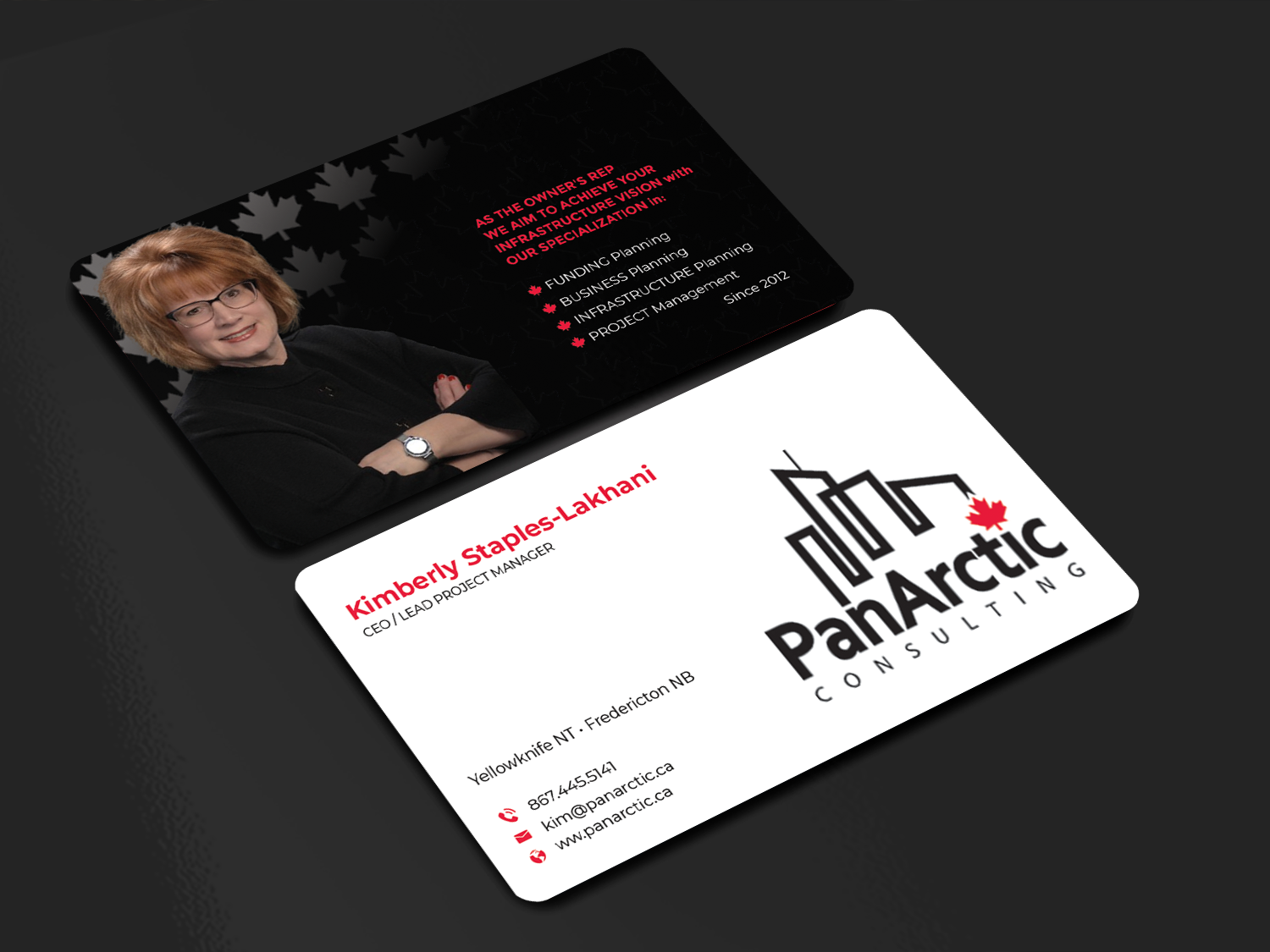 Business Card Design by Innovative Graphix for PANARCTIC CONSULTING | Design #32814311