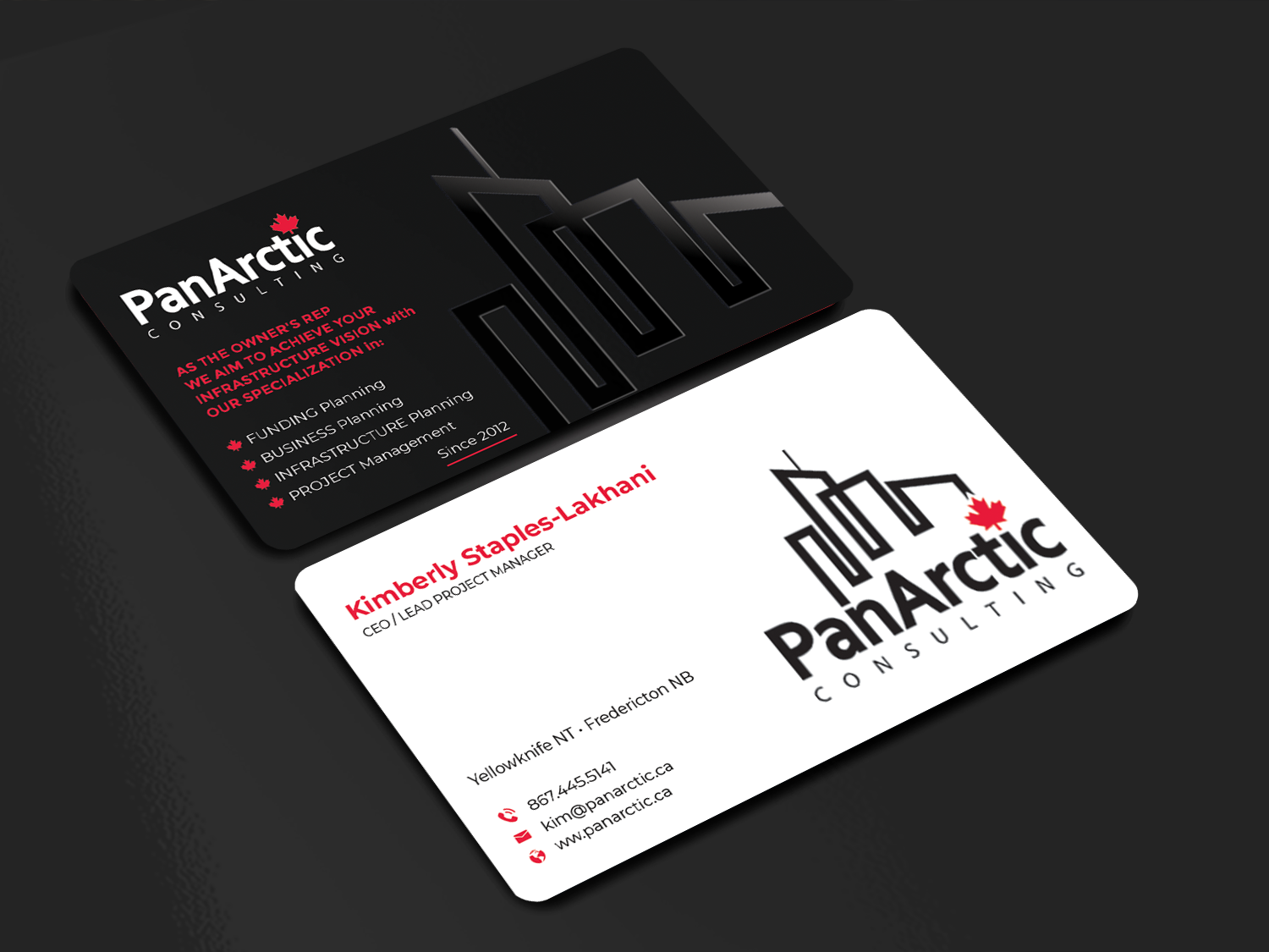 Business Card Design by Innovative Graphix for PANARCTIC CONSULTING | Design #32814313