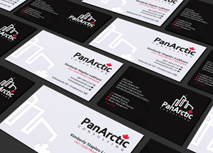 Business Card Design by Creations Box 2015 for PANARCTIC CONSULTING | Design: #32814098