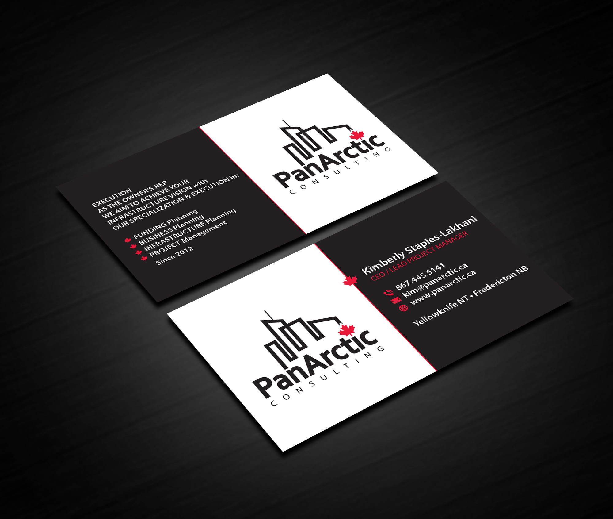 Business Card Design by Creations Box 2015 for PANARCTIC CONSULTING | Design #33061450
