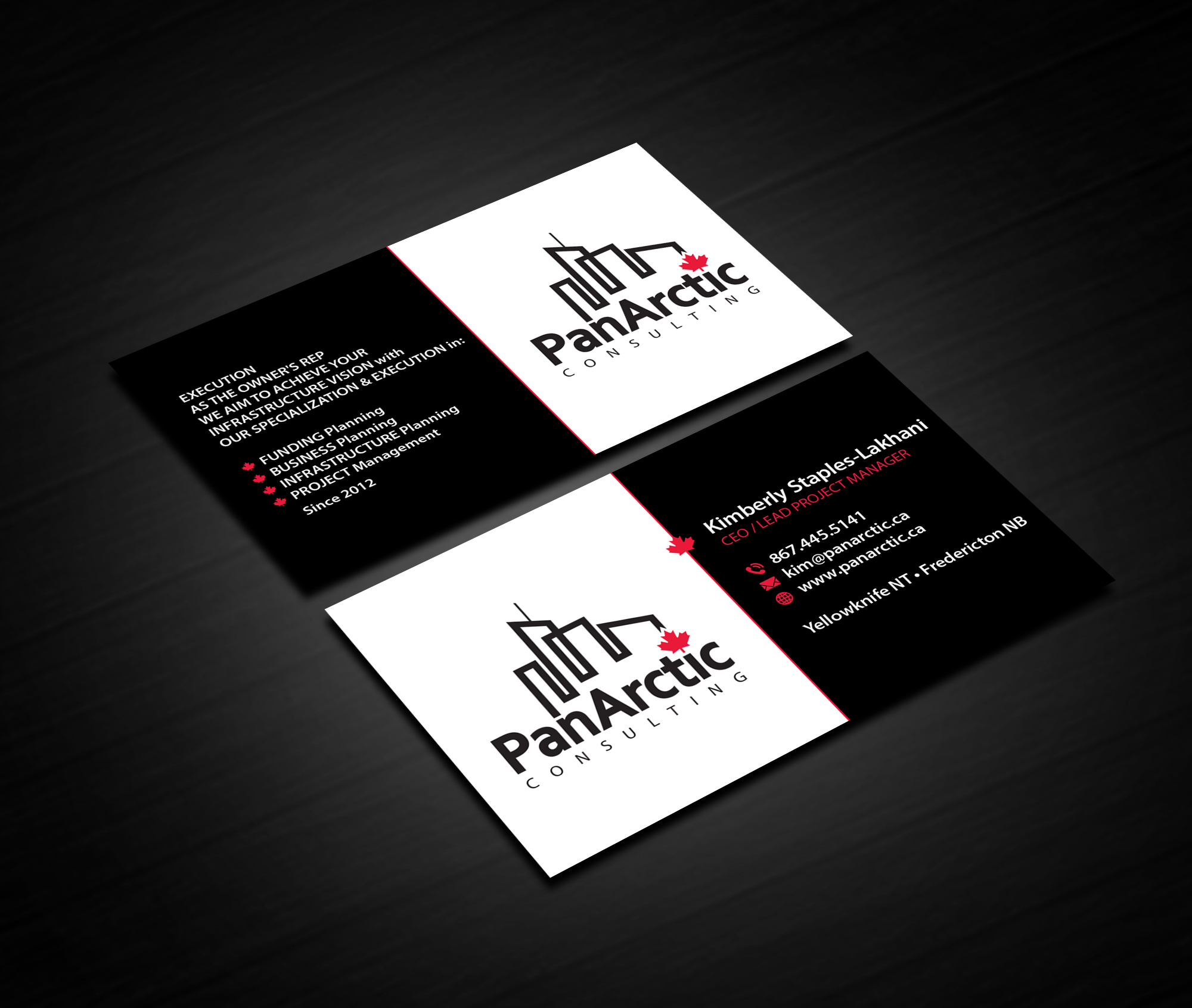 Business Card Design by Creations Box 2015 for PANARCTIC CONSULTING | Design #33061451