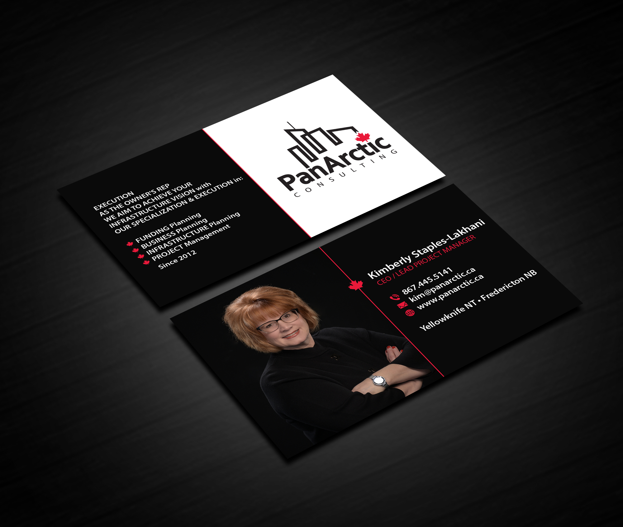 Business Card Design by Creations Box 2015 for PANARCTIC CONSULTING | Design #33061457