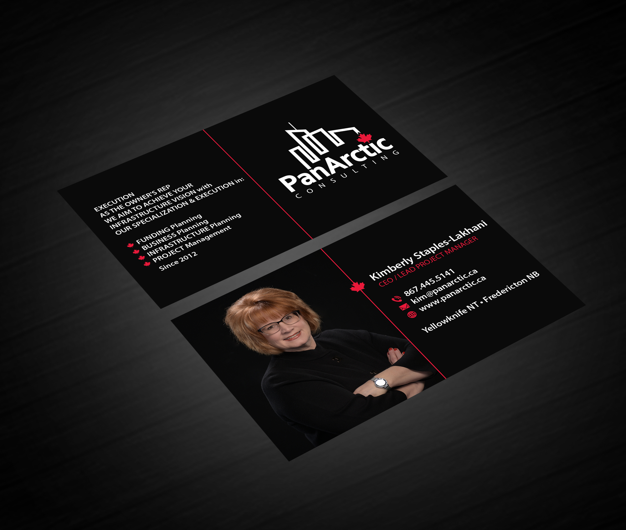 Business Card Design by Creations Box 2015 for PANARCTIC CONSULTING | Design #33061460