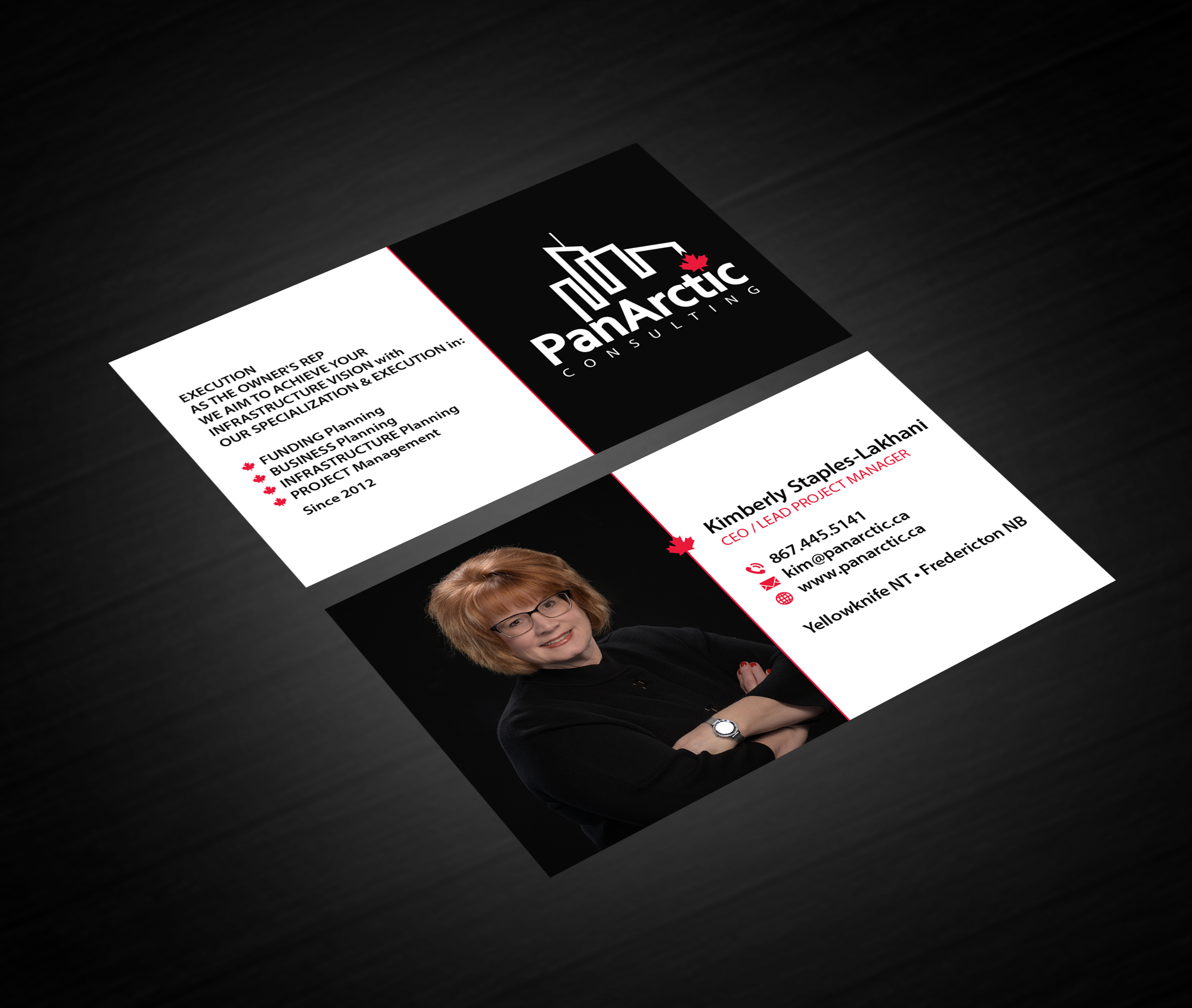 Design de Carte de Visite par Creations Box 2015 pour PANARCTIC CONSULTING | Design #33061462