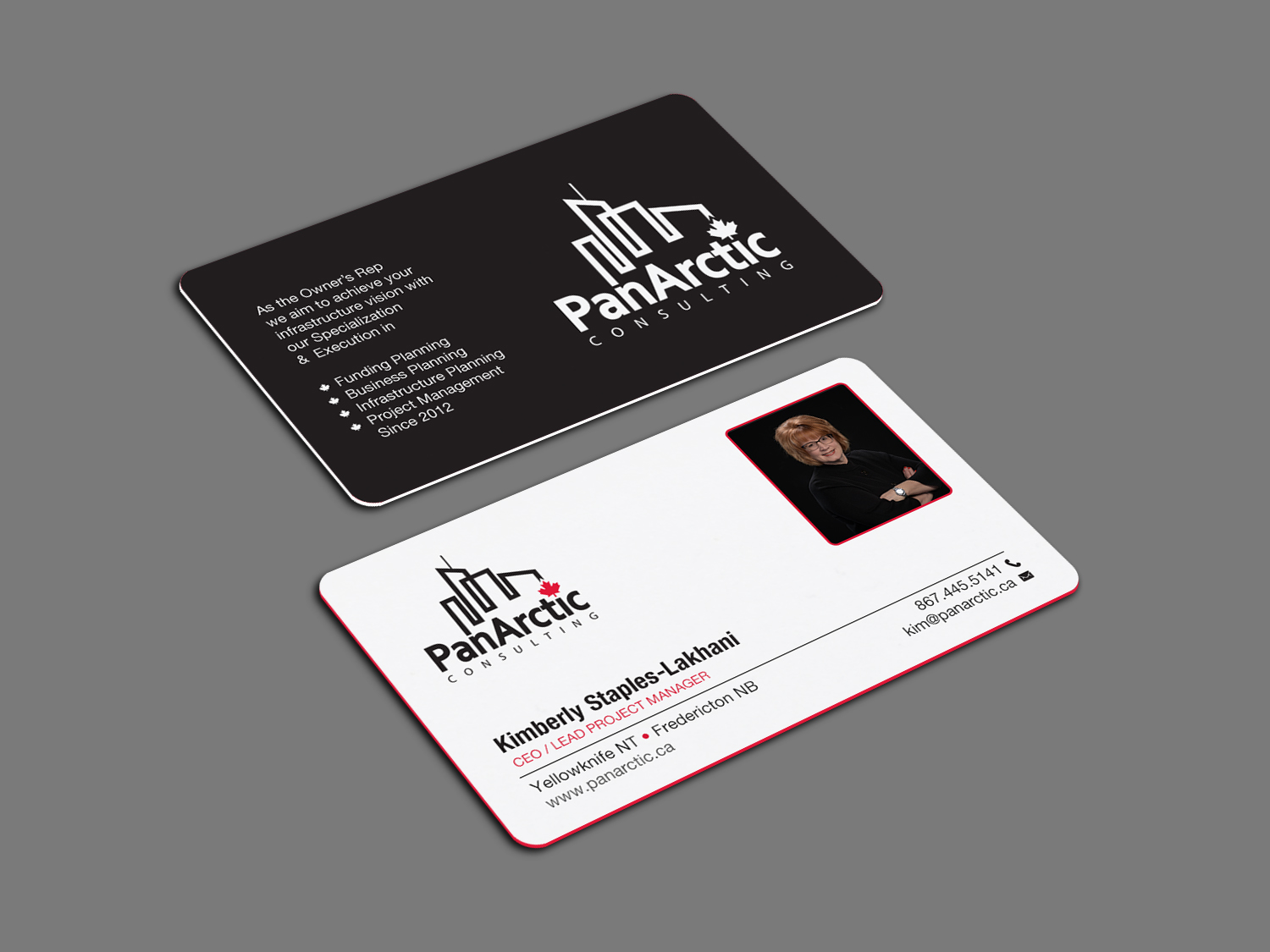 Business Card Design by Brand aid for PANARCTIC CONSULTING | Design #32807051