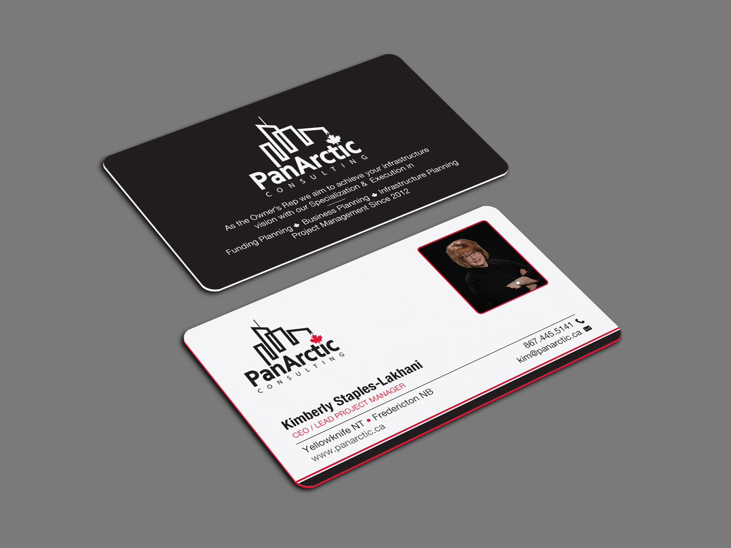 Business Card Design by Brand aid for PANARCTIC CONSULTING | Design #32807052