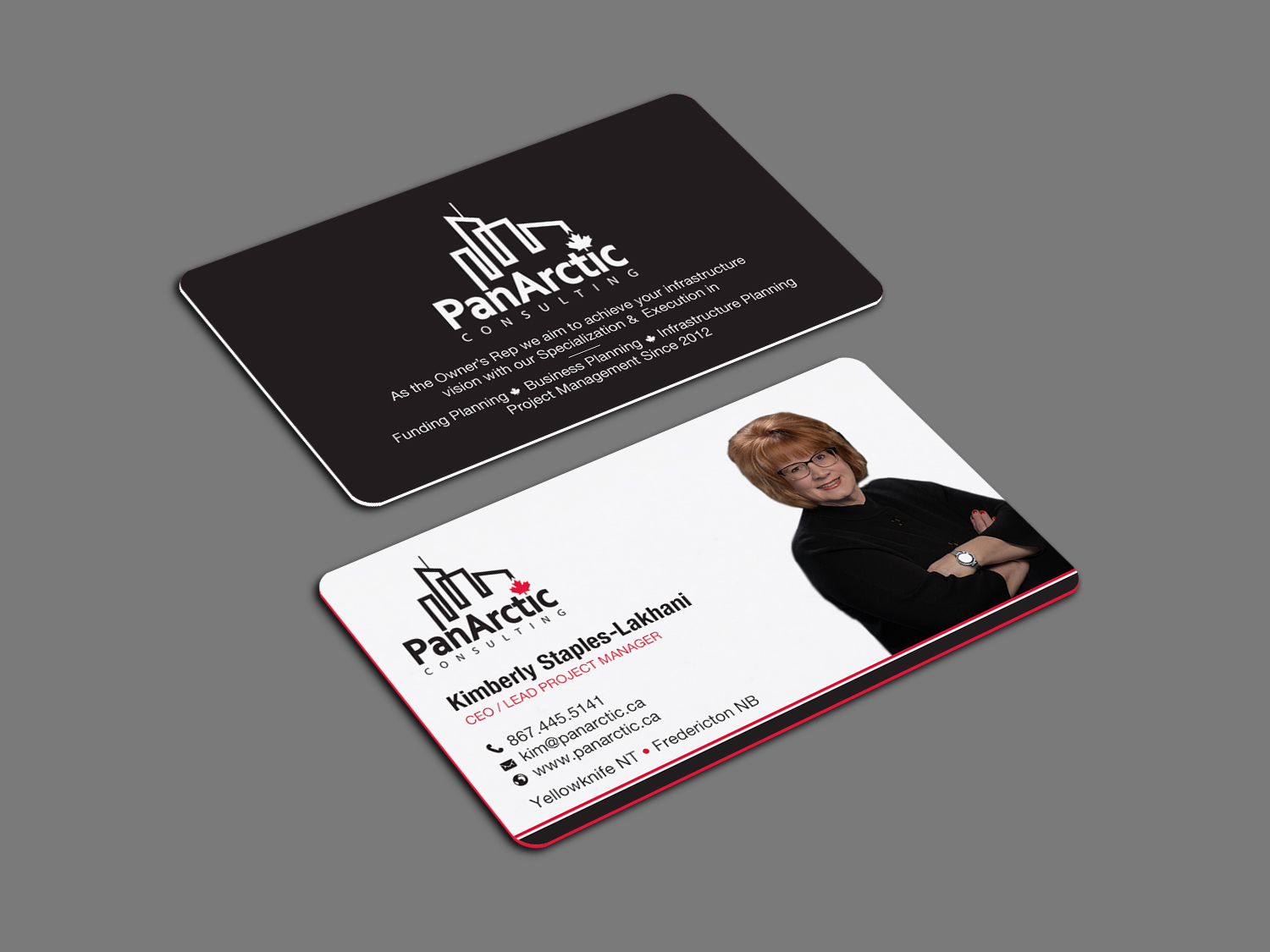 Business Card Design by Brand aid for PANARCTIC CONSULTING | Design #32807053