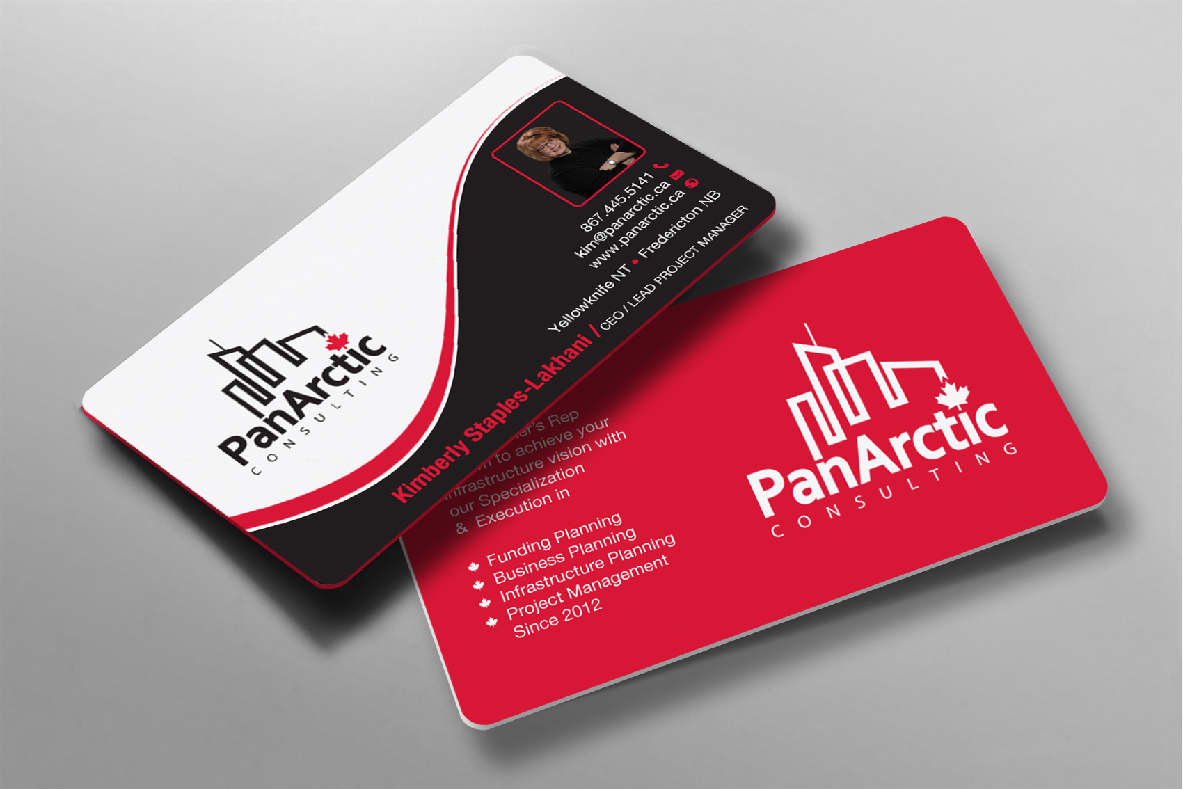 Business Card Design by Brand aid for PANARCTIC CONSULTING | Design #32807055