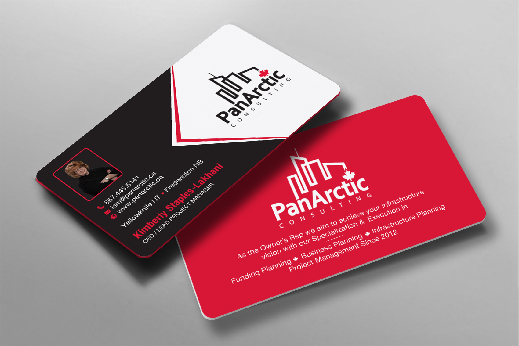 Business Card Design by Brand aid for PANARCTIC CONSULTING | Design #32807058