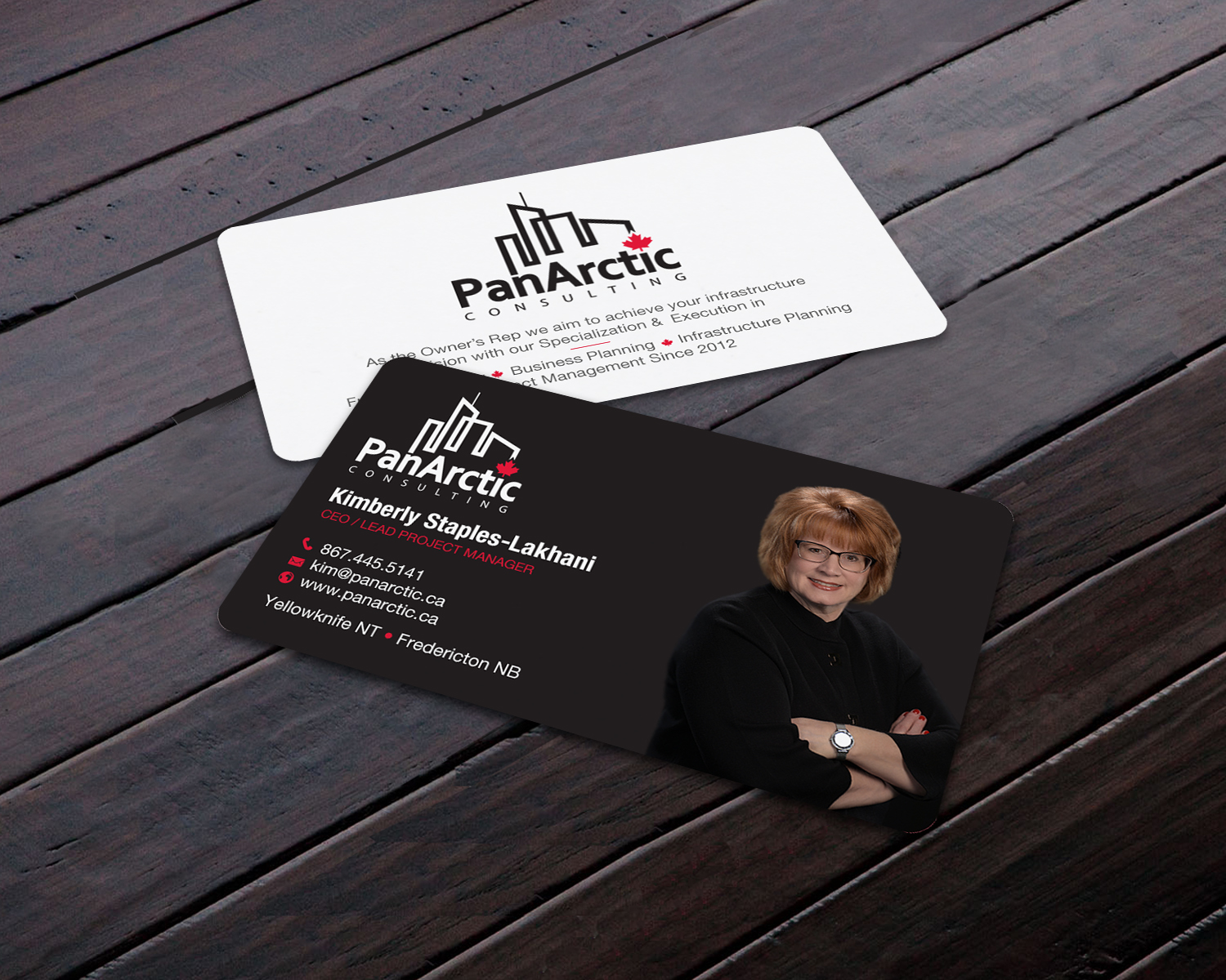 Business Card Design by Brand aid for PANARCTIC CONSULTING | Design #32812365