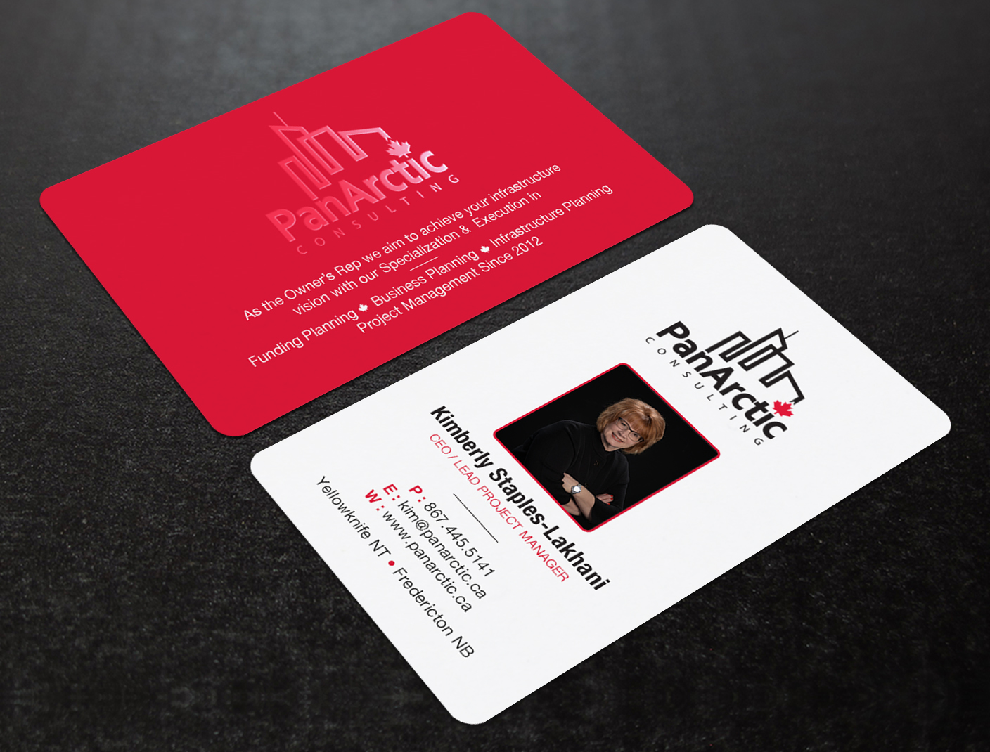 Business Card Design by Brand aid for PANARCTIC CONSULTING | Design #32812372