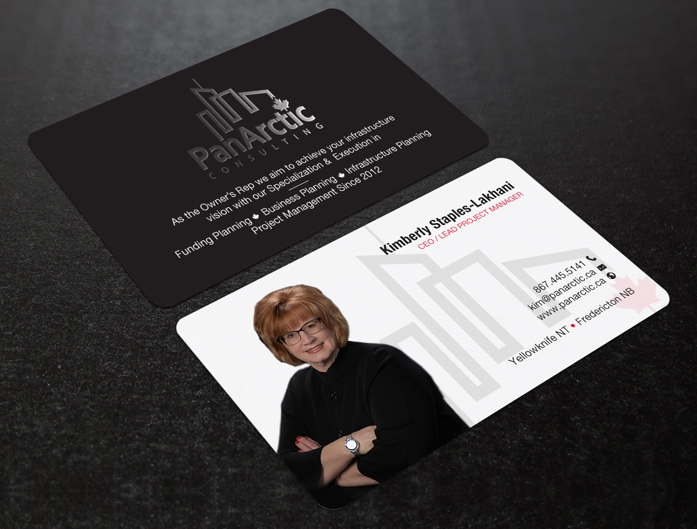 Business Card Design by Brand aid for PANARCTIC CONSULTING | Design #32812374