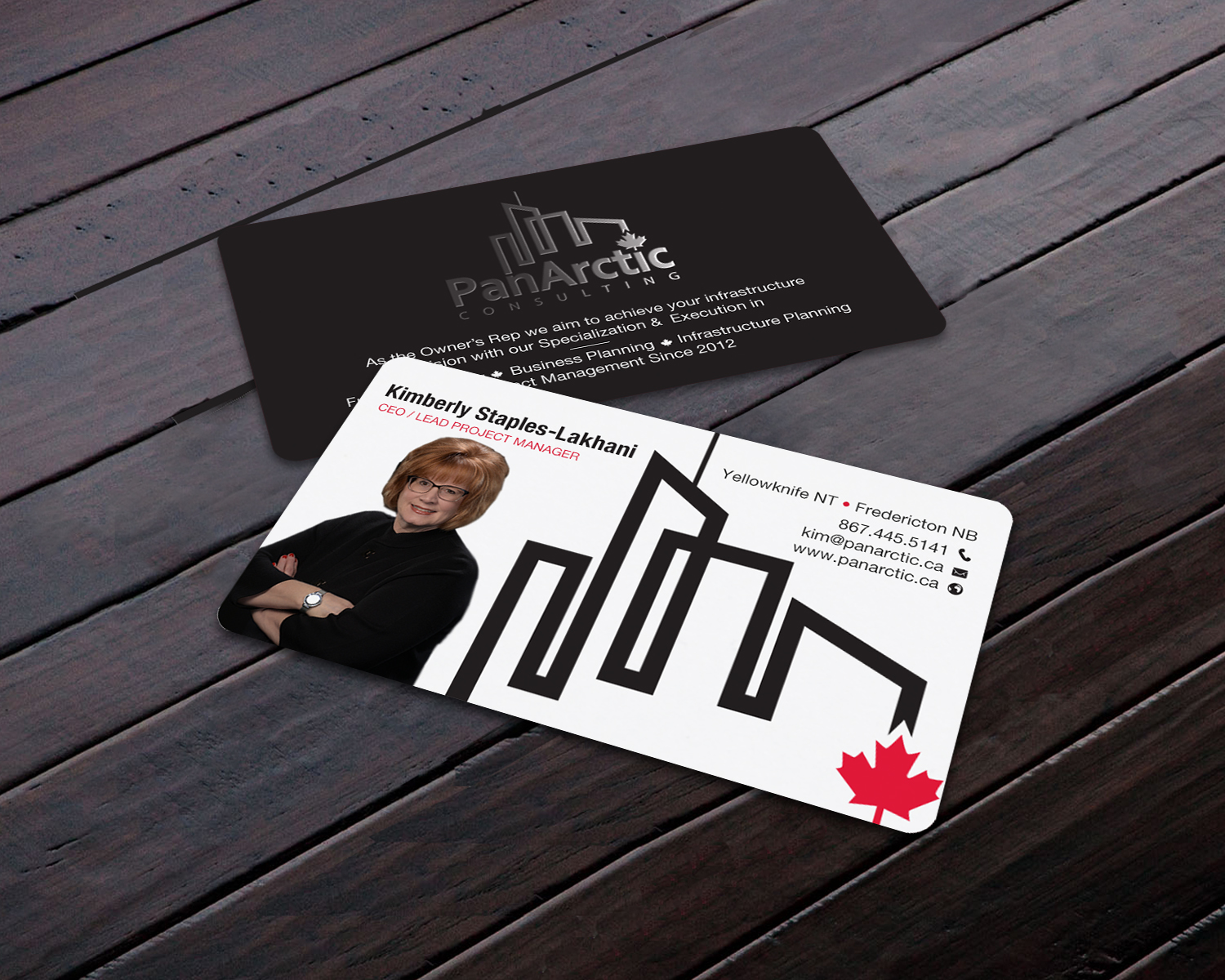 Business Card Design by Brand aid for PANARCTIC CONSULTING | Design #32812375