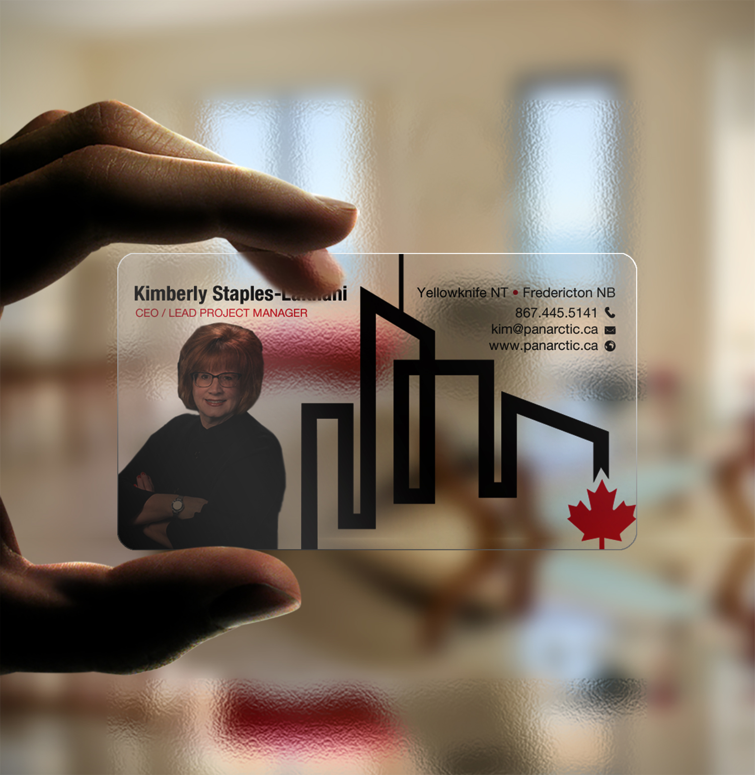 Business Card Design by Brand aid for PANARCTIC CONSULTING | Design #32812376