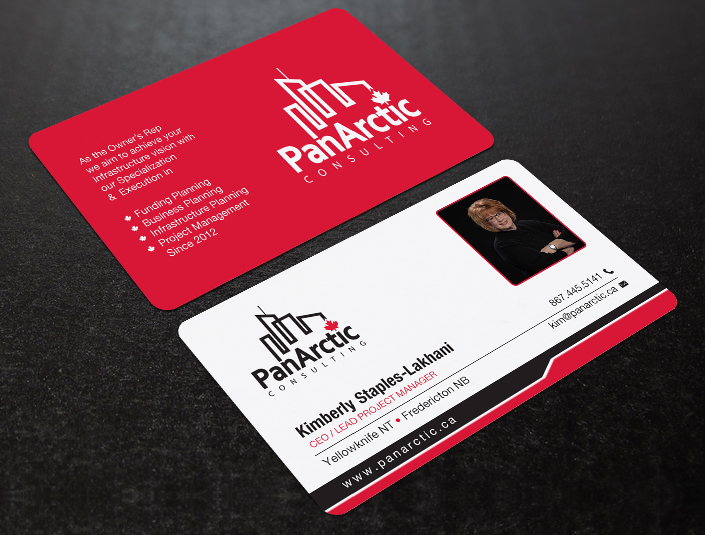 Business Card Design by Brand aid for PANARCTIC CONSULTING | Design #32812379