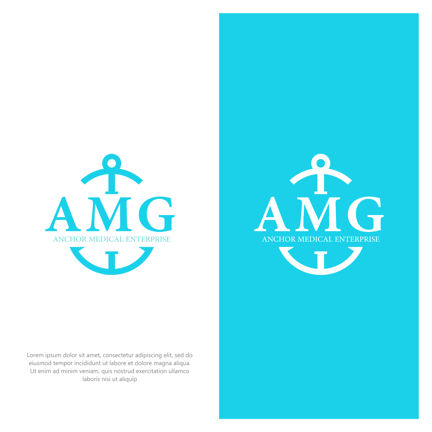 Logo Design by ThiagoB for this project | Design #32796415