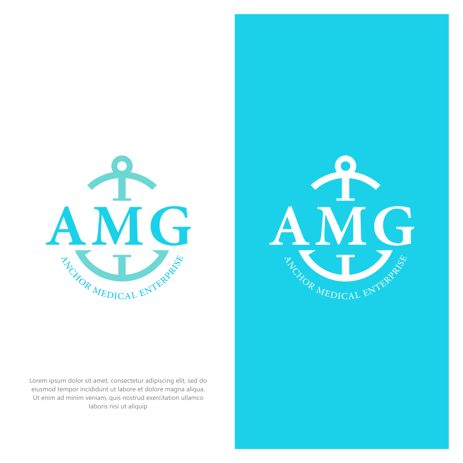 Logo Design by ThiagoB for this project | Design #32796416